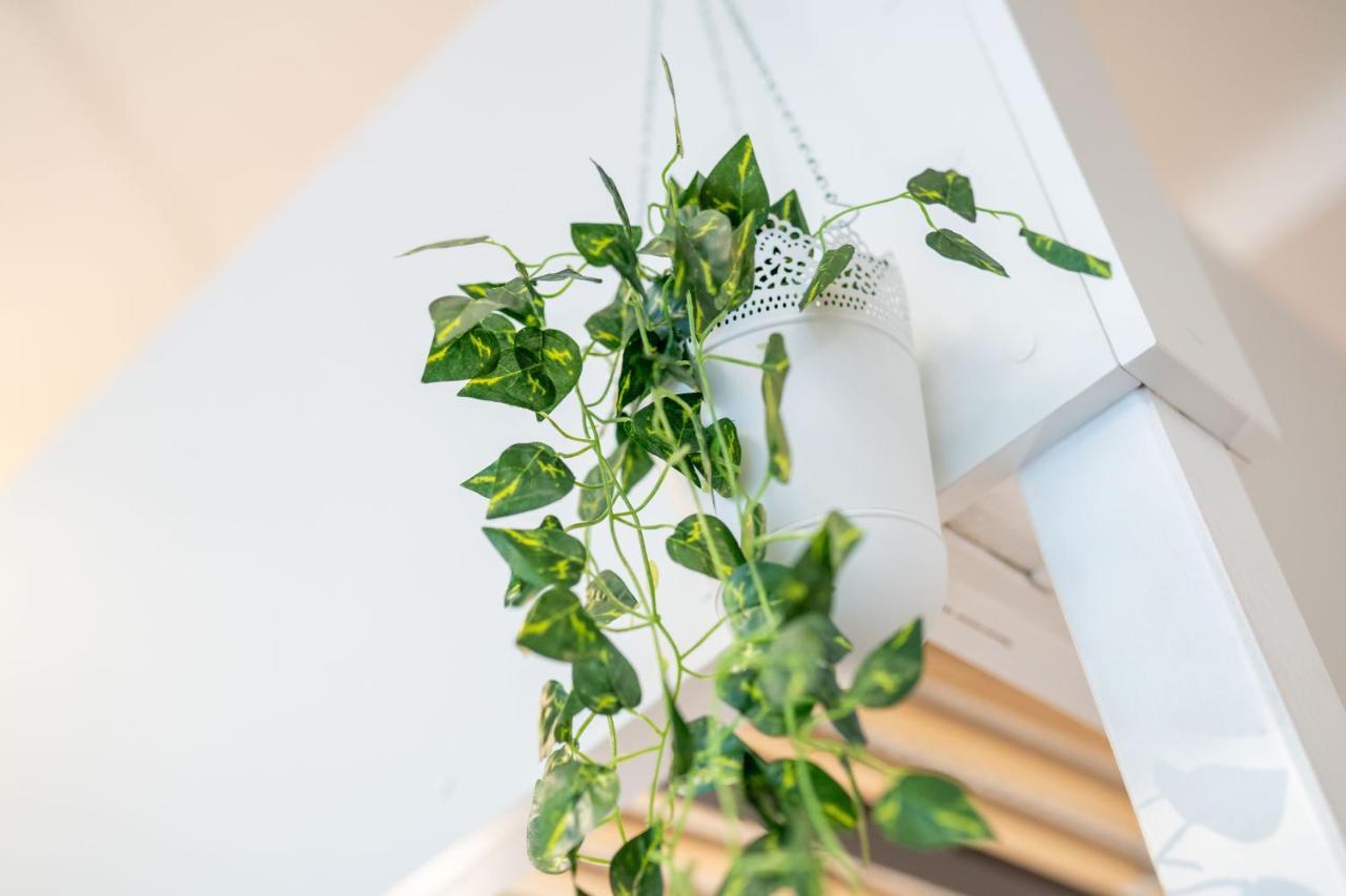 Appartamento Cozy Modern Nest In The Heart Of Vienna With Netflix Esterno foto